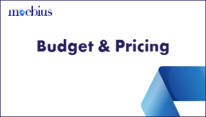 Learn how to set a budget and hourly rate for a Case or Project.