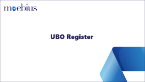 Learn how to view the UBO Register, to generate a list of changes and record submissions.